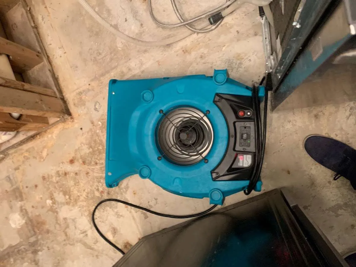 Air mover drying equipment for Mold Remediation & Removal in Douglas
