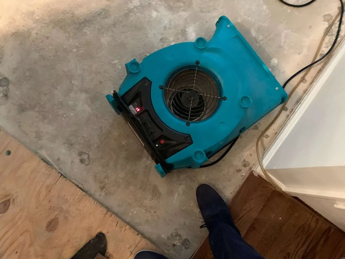 Air mover drying subfloor during Leak Detection & Repair in Douglas